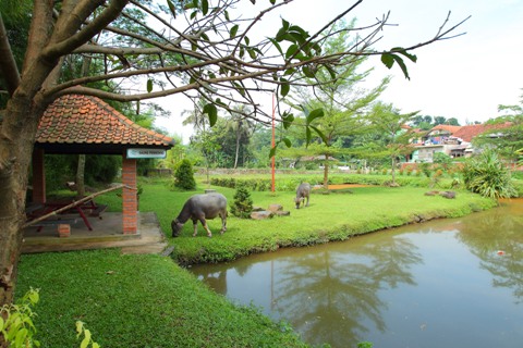 Wisata Kampoeng Cinangneng Bogor