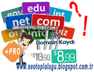 .pro uzantılı domain