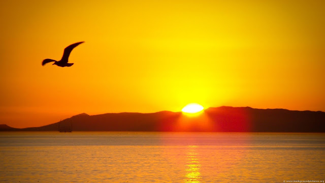 sunrise wallpapers HD