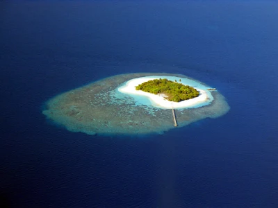 ¿Que 10 Álbumes Pedirías A Un Genio En Una Isla Desértica Como Naufrago?