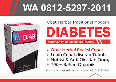 Obat Gula, Obat Diabetes Kering, Obat Diabetes Ampuh, Obat Herbal Untuk Diabetes, Obat Sakit Diabetes, Indobio, Treninet