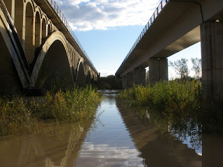 Crecida del río Gállego 24/11/2016 puentes del ferrocarril