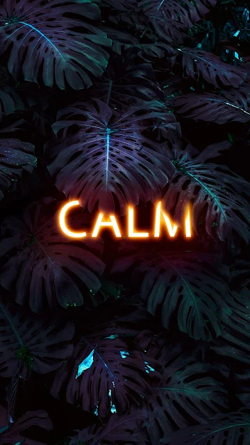 calm leaf background wallpaper