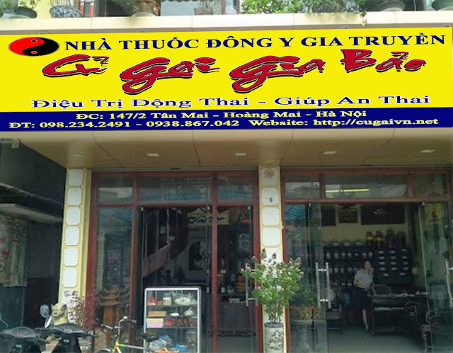 Mua củ gai tại Hà Nội