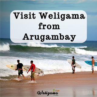 How to visit Weligama from Arugambay : VisitWeligama
