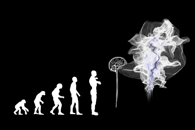 Evolution of Humankind