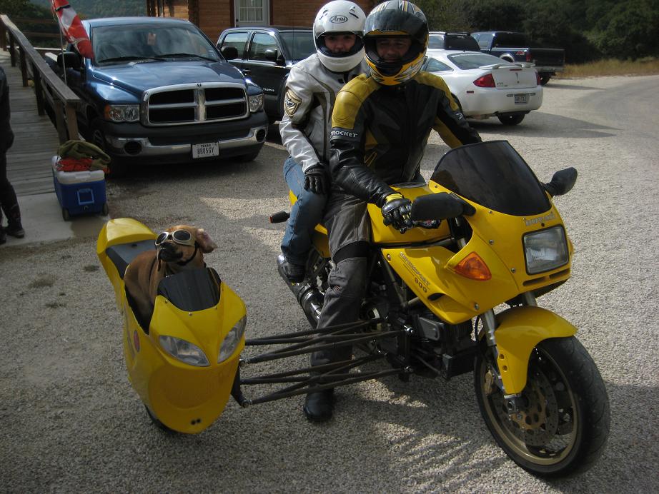 MOTORCYCLE 74: Ducati sidecar dog