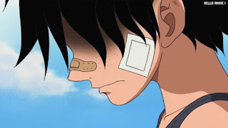 ワンピースアニメ 503話 エース 幼少期 | ONE PIECE Episode 503 ASL