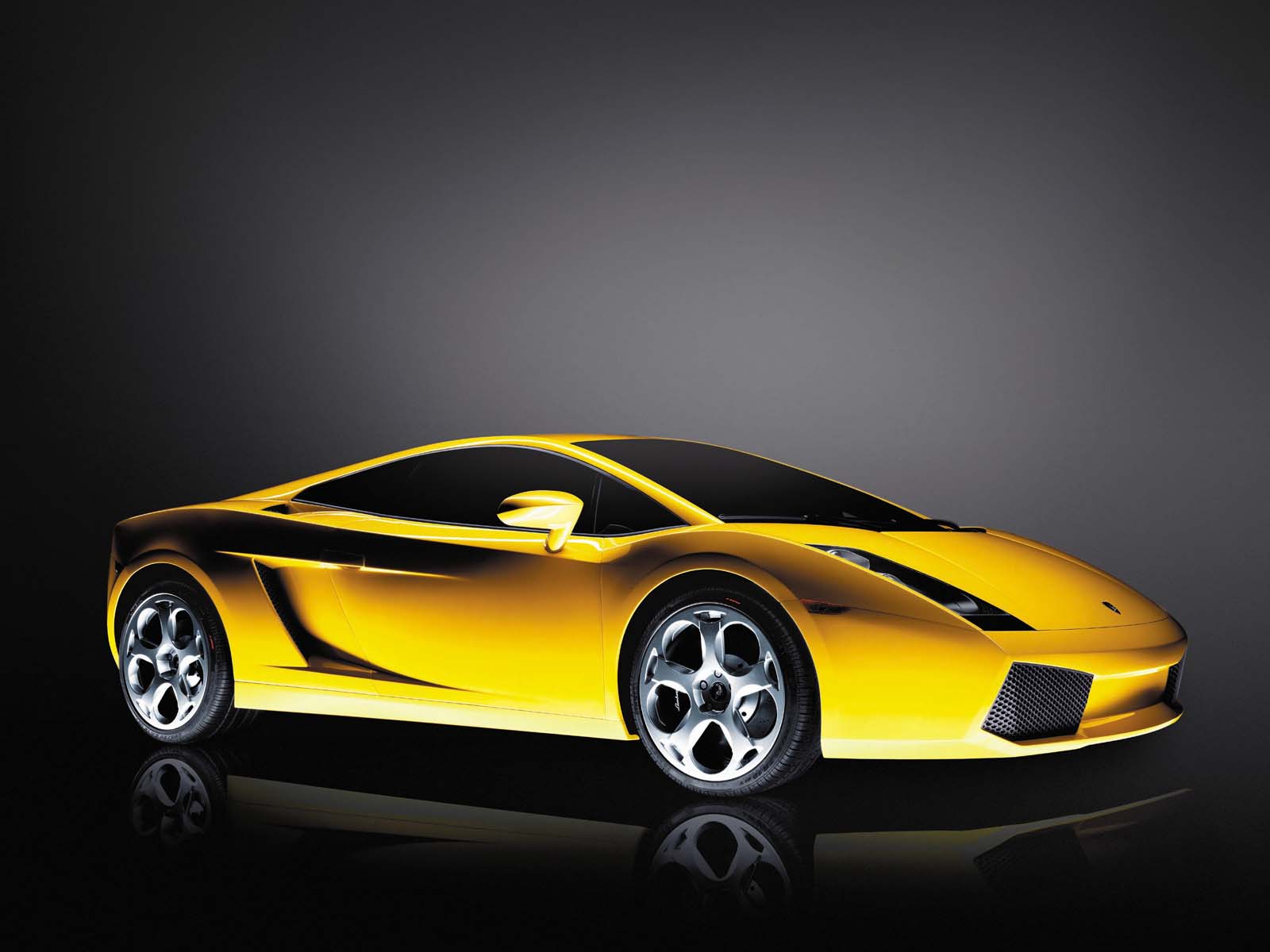 Yellow Lamborghini Gallardo ~ Modified Cars And Auto Parts