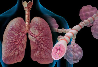  ملف كامل يهم مريض الصدر في شهر رمضان  chest patients