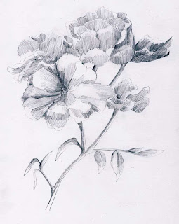 Harumnya Bunga  Mawar  Belajar  Menggambar 