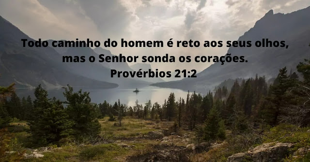 40 Versículos da Bíblia sobre Compreensão