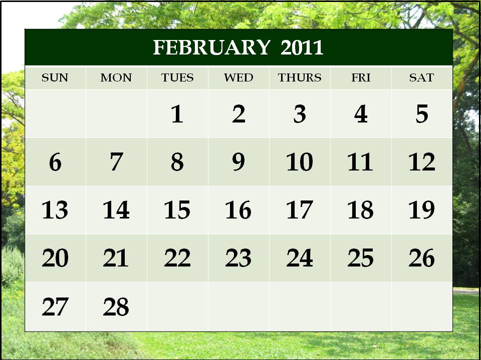 moon phases in order. 8 moon phases in order. february 2011 moon phases