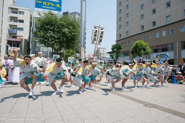 天狗連、熊本地震被災地救援募金チャリティ阿波踊り、男踊りの写真 2