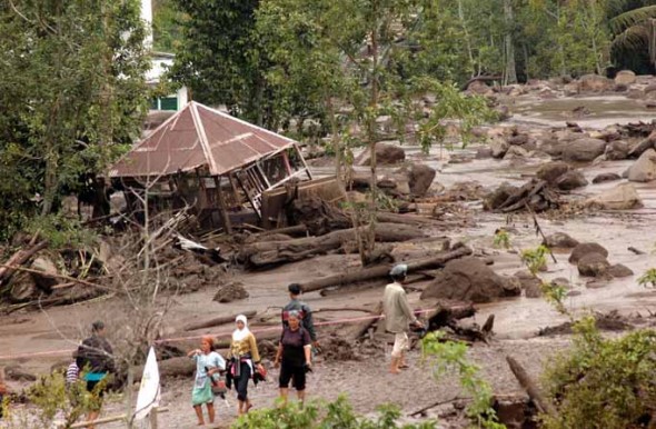 Kerusakan Hutan Definisi Istilah Pengertian  Share The 