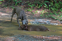 Auger Hole Trail3