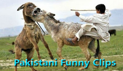 Pakistani funny clips videos 