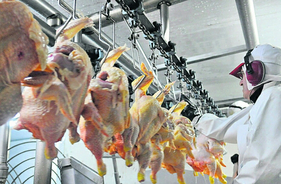 China detectó coronavirus en pollos importados de Brasil y mariscos de Ecuador