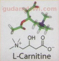 L-Carnititne