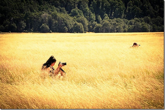 protecting-your-photography-online-1
