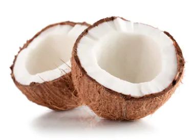 why do hindus break coconut in the temple, significance of breaking coconut in hindu rituals, Hindus break coconut, hindu breaking coconut, hindu coconut breaking ritual, why hindu break coconut, reasons behind