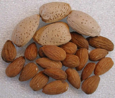 Almonds, Good Prosperity, Health