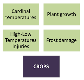 Cardinal Temperatures Affects Growth Of Cultivar