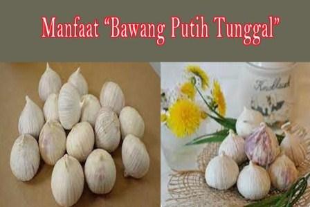 https://keranjangkesehatan.gankoko.com/2024/01/manfaat-quotbawang-putih-tunggalquot.html