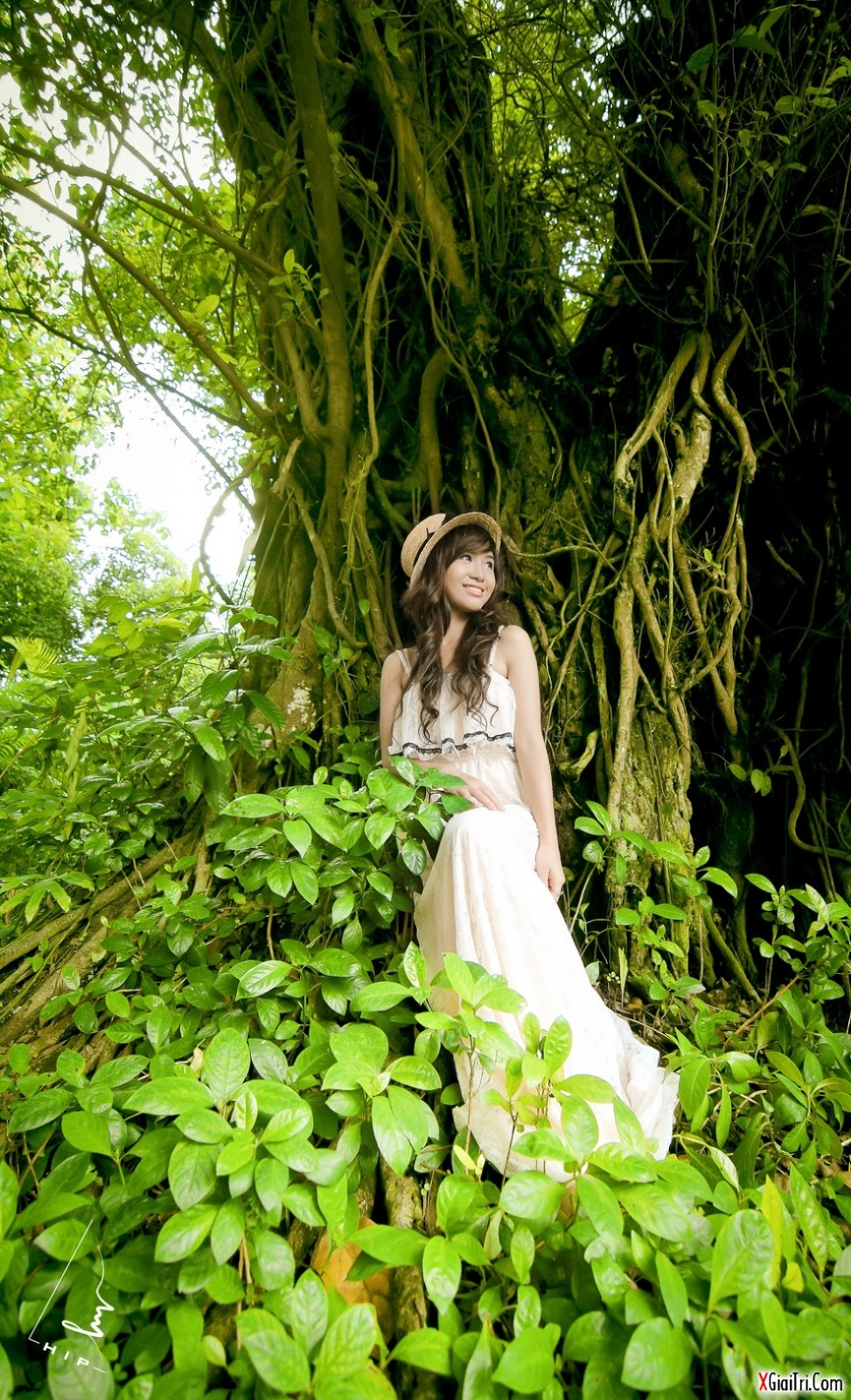 Shu Linh- thiên sứ trong rừng