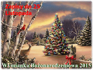 http://misiowyzakatek.blogspot.com/2016/01/ostatnie-swiateczne.html