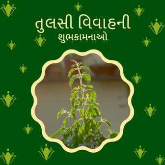 tulsi vivah wishes in gujarati, tulsi vivah quotes in gujarati, tulsi vivah images in gujarati, tulsi vivah picture gujarati, tulsi vivah gujarati, tulsi vivah story in gujarati, tulsi vivah images gujarati