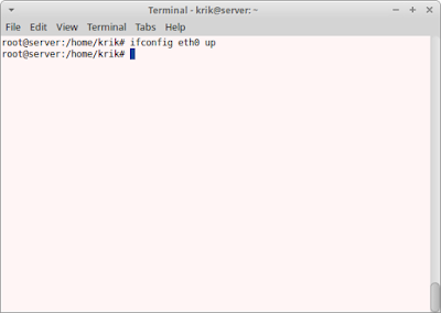 ifconfig eth0 up 