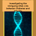 Investigating the Intriguing DNA Link between Diabetes and Obesity
