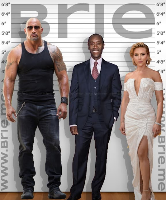 Don Cheadle standing with The Rock and Scarlett Johansson