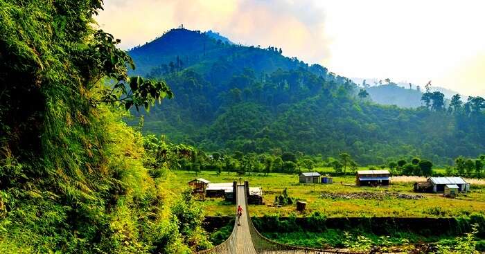 Things To Do In Nepal Chitwan National Park