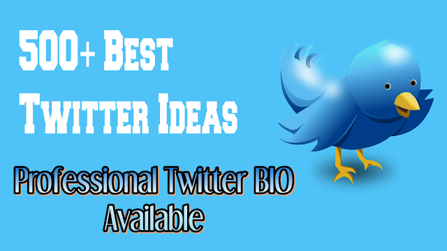 500+ Best Twitter BIO Ideas: Professional Twitter BIO Available (Update)