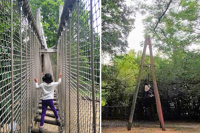 Best playground in Brussels - Laerbeek Forest | Bois Du Laerbeek
