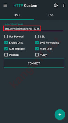 pengaturan ssh websocket di http custom