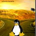 Linux: Vantagens e desvantagens