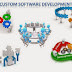 Emerging Custom Software Development Company in India