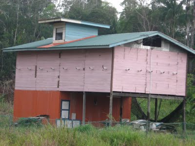 Ide Istimewa Rumah Burung Walet Di Malaysia, Motif Baru!