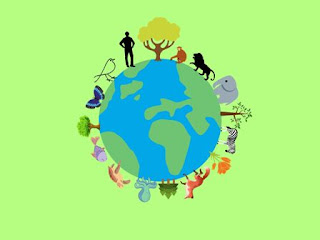 વિશ્વ પર્યાવરણ દિવસ ૨૦૨૦ વિષય જૈવવિવિધતા,world environment day 2020 theme biodiversity,World Environment Day 2020