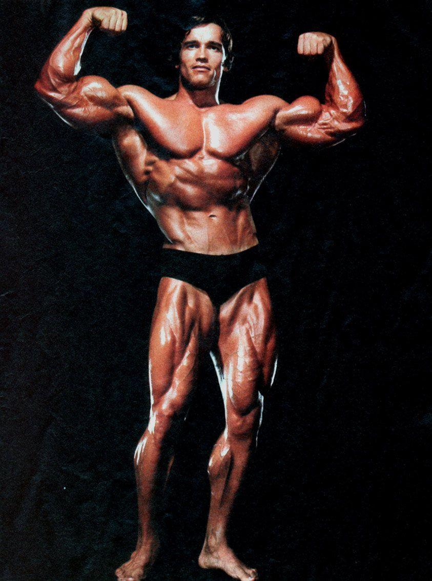 Arnold Bodybuilding, Bodybuilding, Bodybuilding Wallpaper, photo Bodybuilding