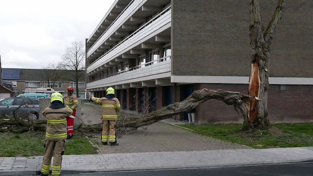 Storm, Zevenaar, 10 maart 2019