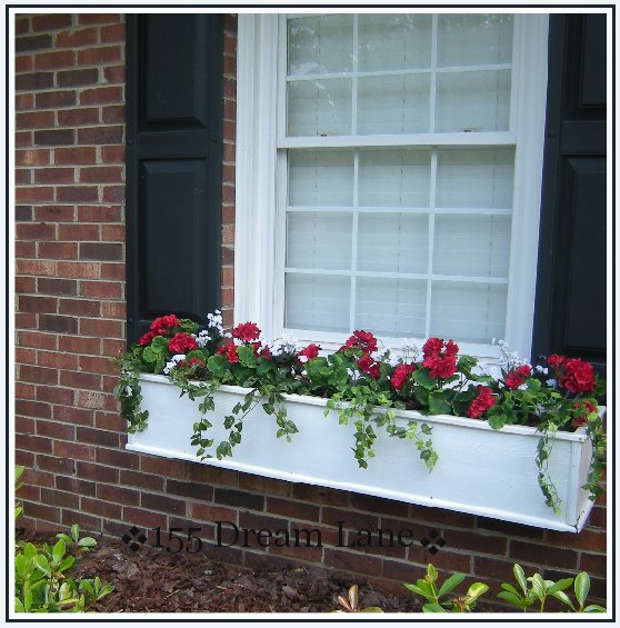 dream lane: Window Boxes are Done