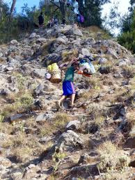 http://www.lomboksociety.com/2019/09/the-difficult-trek-in-rinjani-mountain.html