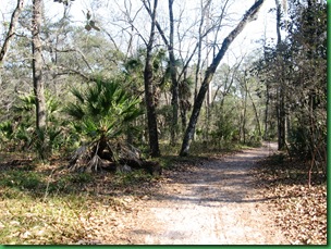 Silver River 006