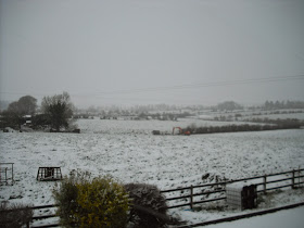 Winter wonderland, in spring: Creevy, Lisacul, Co Roscommon.