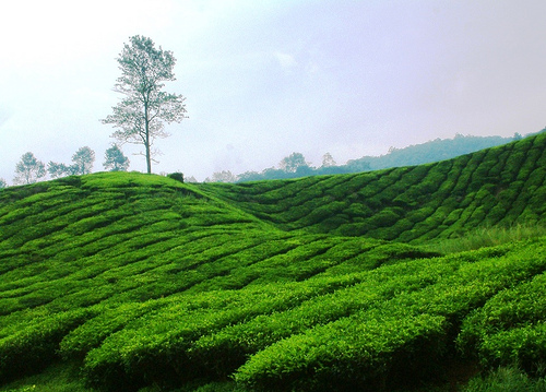  kumpulan foto pemandangan alam yg indah Pemandanganoce