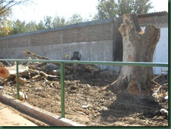 15mayo2011 004